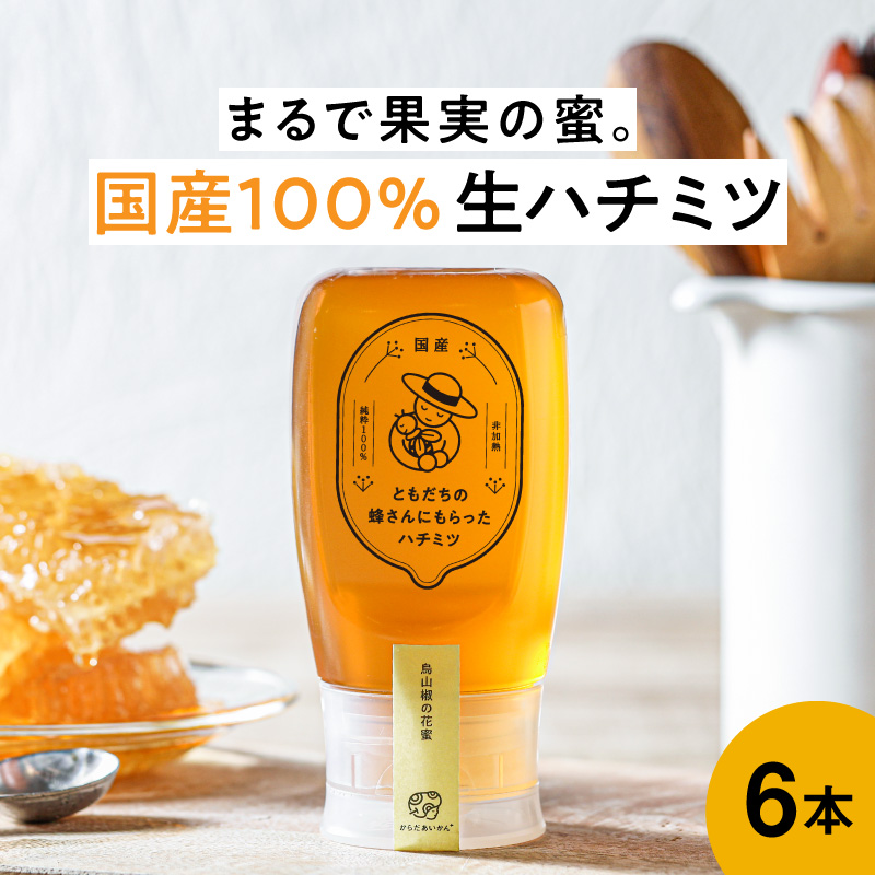 ともだちの蜂さんにもらったハチミツ  6本セット（300g×6）