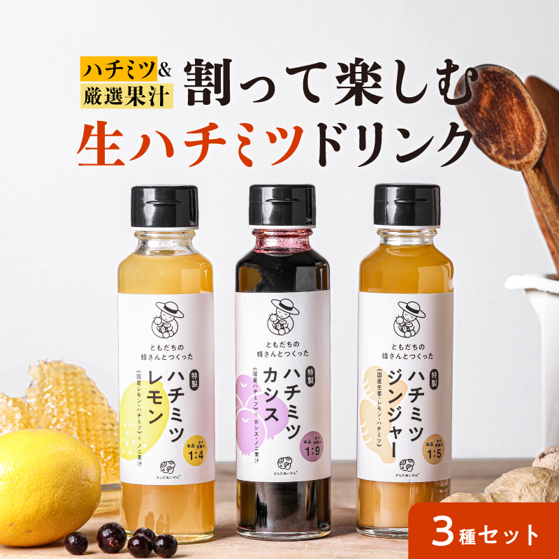 ともだちの蜂さんとつくった特製ドリップ 150ml【3種類お得セット（各1本）】【天然果汁】【国産はちみつ】